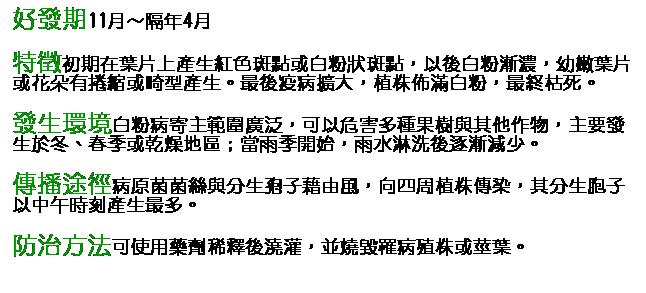文字方塊: 好發期11月～隔年4月 特徵初期在葉片上產生紅色斑點或白粉狀斑點，以後白粉漸濃，幼嫩葉片或花朵有捲縮或畸型產生。最後疫病擴大，植株佈滿白粉，最終枯死。 發生環境白粉病寄主範圍廣泛，可以危害多種果樹與其他作物，主要發生於冬、春季或乾燥地區；當雨季開始，雨水淋洗後逐漸減少。 傳播途徑病原菌菌絲與分生孢子藉由風，向四周植株傳染，其分生胞子以中午時刻產生最多。 防治方法可使用藥劑稀釋後澆灌，並燒毀罹病殖株或莖葉。 