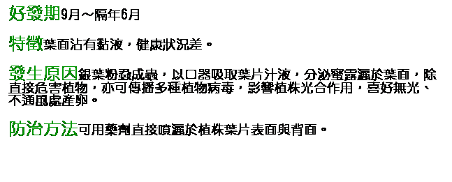 文字方塊: 好發期9月～隔年6月 特徵葉面沾有黏液，健康狀況差。 發生原因銀葉粉蝨成蟲，以口器吸取葉片汁液，分泌蜜露灑於葉面，除直接危害植物，亦可傳播多種植物病毒，影響植株光合作用，喜好無光、不通風處產卵。 防治方法可用藥劑直接噴灑於植株葉片表面與背面。 