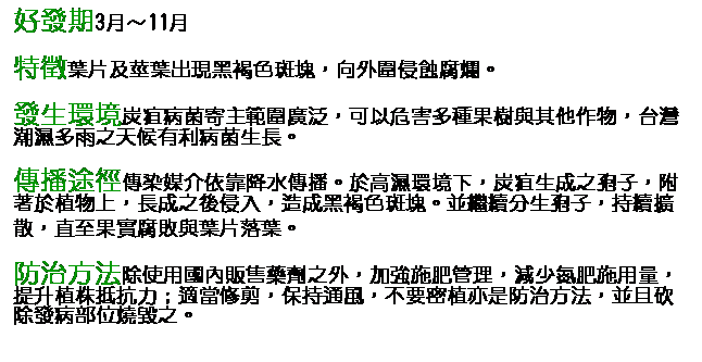 文字方塊: 好發期3月～11月 特徵葉片及莖葉出現黑褐色斑塊，向外圍侵蝕腐爛。 發生環境炭疽病菌寄主範圍廣泛，可以危害多種果樹與其他作物，台灣潮濕多雨之天候有利病菌生長。 傳播途徑傳染媒介依靠降水傳播。於高濕環境下，炭疽生成之孢子，附著於植物上，長成之後侵入，造成黑褐色斑塊。並繼續分生孢子，持續擴散，直至果實腐敗與葉片落葉。  防治方法除使用國內販售藥劑之外，加強施肥管理，減少氮肥施用量，提升植株抵抗力；適當修剪，保持通風，不要密植亦是防治方法，並且砍除發病部位燒毀之。       