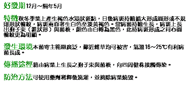 文字方塊: 好發期12月～隔年5月 特徵秋冬季葉上產生褐色水浸狀斑點，日後病斑持續擴大形成圓形或不規則形狀輪紋，病斑兩面著生白色至淡黃褐色。當病菌持續生長，病斑上長出孢子束（錐狀形）與菌核，顏色由白轉為黑色，此時病斑形成之同心圓輪紋更為明顯。 發生環境本菌寄主範圍廣泛，鄰近雜草均可被害，氣溫16～25℃有利病菌長成。 傳播途徑藉由病葉上生長之孢子束與菌核，向四周健株接觸傳染。 防治方法可使用藥劑稀釋後澆灌，並摘除病葉燒毀。       