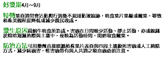 文字方塊: 好發期4月～9月 特徵葉面通常會沾黏爬行過後不規則黏液痕跡，啃食葉片葉緣或嫩葉，導致植株美觀程度降低或減少農民收成。 發生原因扁蝸牛啃食所造成。害蟲在日間較少活動、靜止活動，亦或躲藏於陰暗潮濕地際與土壤中，夜晚為活動時間，開始取食嫩葉。 防治方法可用藥劑直接噴灑植株葉片表面與四周土壤殺死害蟲或人工摘除方式，減少病蟲害，惟害蟲帶有與人共通之吸血蟲必須注意。 