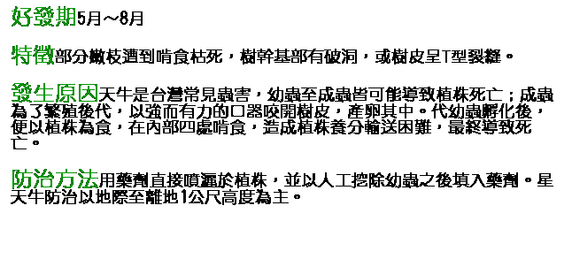 文字方塊: 好發期5月～8月 特徵部分嫩枝遭到啃食枯死，樹幹基部有破洞，或樹皮呈T型裂縫。 發生原因天牛是台灣常見蟲害，幼蟲至成蟲皆可能導致植株死亡；成蟲為了繁殖後代，以強而有力的口器咬開樹皮，產卵其中。代幼蟲孵化後，便以植株為食，在內部四處啃食，造成植株養分輸送困難，最終導致死亡。 防治方法用藥劑直接噴灑於植株，並以人工挖除幼蟲之後填入藥劑。星天牛防治以地際至離地1公尺高度為主。 