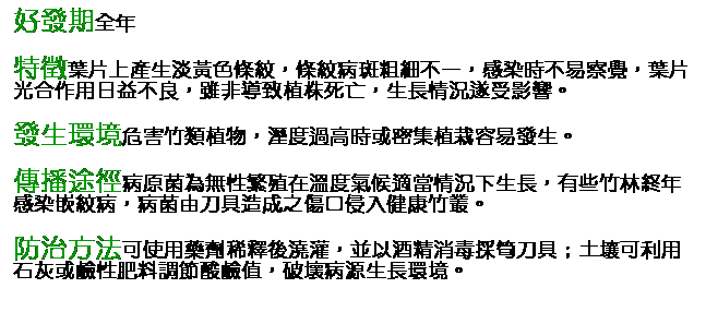 文字方塊: 好發期全年 特徵葉片上產生淡黃色條紋，條紋病斑粗細不一，感染時不易察覺，葉片光合作用日益不良，雖非導致植株死亡，生長情況遂受影響。 發生環境危害竹類植物，溼度過高時或密集植栽容易發生。 傳播途徑病原菌為無性繁殖在溫度氣候適當情況下生長，有些竹林終年感染嵌紋病，病菌由刀具造成之傷口侵入健康竹叢。 防治方法可使用藥劑稀釋後澆灌，並以酒精消毒採筍刀具；土壤可利用石灰或鹼性肥料調節酸鹼值，破壞病源生長環境。       