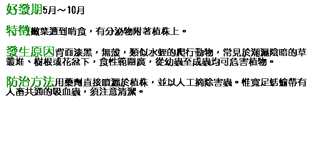 文字方塊: 好發期5月～10月 特徵嫩葉遭到啃食，有分泌物附著植株上。 發生原因背面漆黑，無殼，類似水蛭的爬行動物，常見於潮濕陰暗的草叢堆、樹根或花盆下，食性範圍廣，從幼蟲至成蟲均可危害植物。 防治方法用藥劑直接噴灑於植株，並以人工摘除害蟲。惟寬足蛞蝓帶有人畜共通的吸血蟲，須注意清潔。 