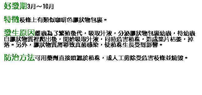 文字方塊: 好發期3月～10月 特徵枝條上有類似咖啡色膠狀物包裹。 發生原因雌蟲為了繁殖後代，吸取汁液，分泌膠狀物包裹幼蟲，待幼蟲自膠狀物質裡爬出後，開始吸取汁液，同時危害植株，造成葉片枯萎，掉落。另外，膠狀物質將導致真菌感染，使植株生長受到影響。 防治方法可用藥劑直接噴灑於植株，或人工剪除受危害枝條並燒毀。 