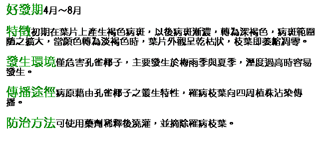 文字方塊: 好發期4月～8月 特徵初期在葉片上產生褐色病斑，以後病斑漸濃，轉為深褐色，病斑範圍隨之擴大，當顏色轉為淡褐色時，葉片外觀呈乾枯狀，枝葉即萎縮凋零。 發生環境僅危害孔雀椰子，主要發生於梅雨季與夏季，溼度過高時容易發生。 傳播途徑病原藉由孔雀椰子之叢生特性，罹病枝葉向四周植株沾染傳播。 防治方法可使用藥劑稀釋後澆灌，並摘除罹病枝葉。       