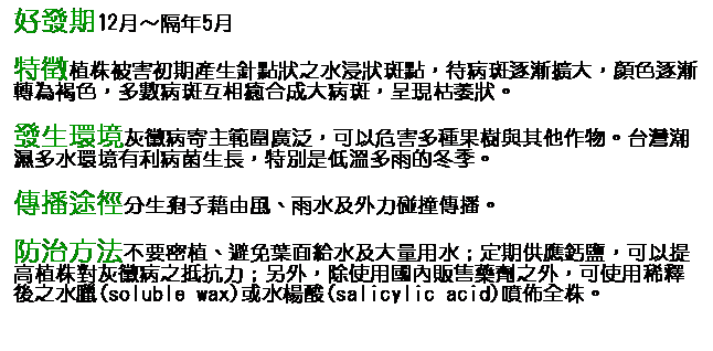 文字方塊: 好發期12月～隔年5月 特徵植株被害初期產生針點狀之水浸狀斑點，待病斑逐漸擴大，顏色逐漸轉為褐色，多數病斑互相癒合成大病斑，呈現枯萎狀。 發生環境灰黴病寄主範圍廣泛，可以危害多種果樹與其他作物。台灣潮濕多水環境有利病菌生長，特別是低溫多雨的冬季。 傳播途徑分生孢子藉由風、雨水及外力碰撞傳播。  防治方法不要密植、避免葉面給水及大量用水；定期供應鈣鹽，可以提高植株對灰黴病之抵抗力；另外，除使用國內販售藥劑之外，可使用稀釋後之水臘(soluble wax)或水楊酸(salicylic acid)噴佈全株。       