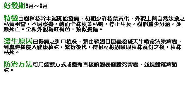 文字方塊: 好發期6月～9月 特徵由樹梢枝幹末端開始發病，初期少許枝葉黃化，外觀上與自然汰換之枯黃相當，不易察覺，轉而全株枝葉枯竭，停止生長，樹脂減少分泌，逐漸死亡。全株外觀為紅褐色，類似燙傷。 發生原因已得病之進口植株，藉由鞘翅目昆蟲松斑天牛啃食沾染病蟲，到處傳播侵入健康植株，繁衍後代，待松材線蟲吸取植株養份之後，植株枯死。 防治方法可用煙薰方式或藥劑直接噴灑表面殺死害蟲，並燒毀罹病殖株。 